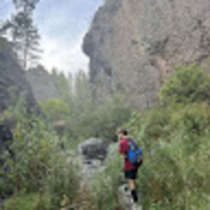 Meet your Posher, Dinoaustin